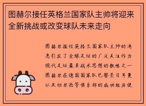 图赫尔接任英格兰国家队主帅将迎来全新挑战或改变球队未来走向